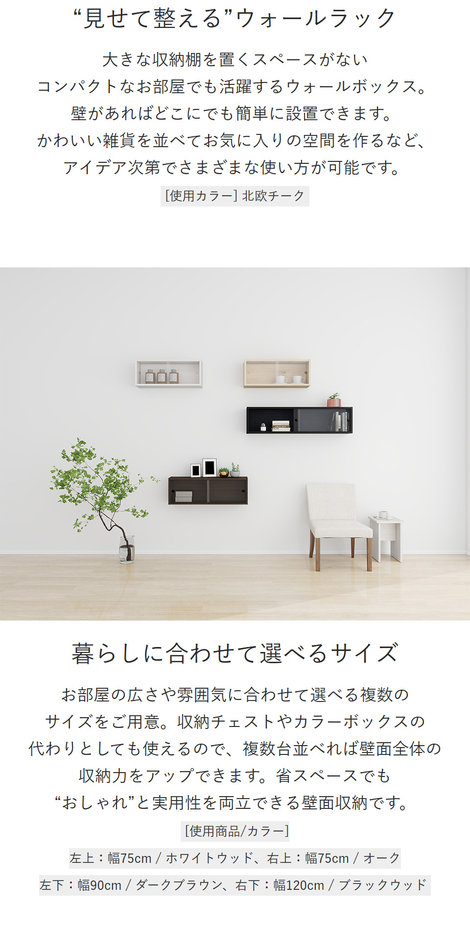 arne（アーネ） コレクションケース 壁掛け 棚 収納 ウォールシェルフ