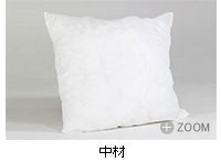 00a09306-d6.jpg