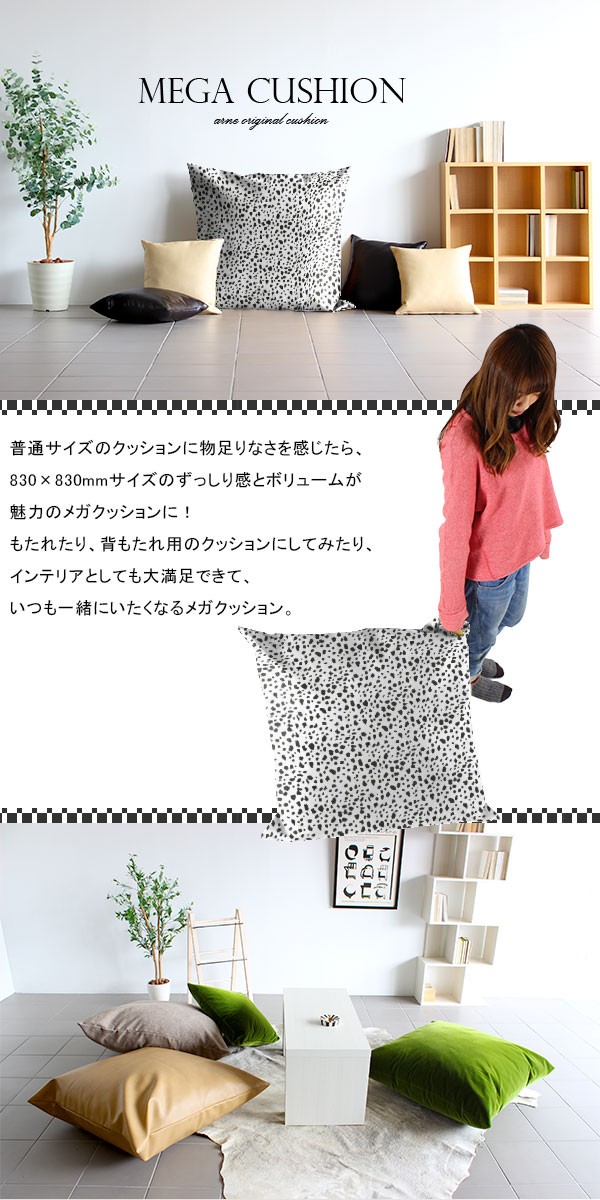 00a24519_sp1.jpg