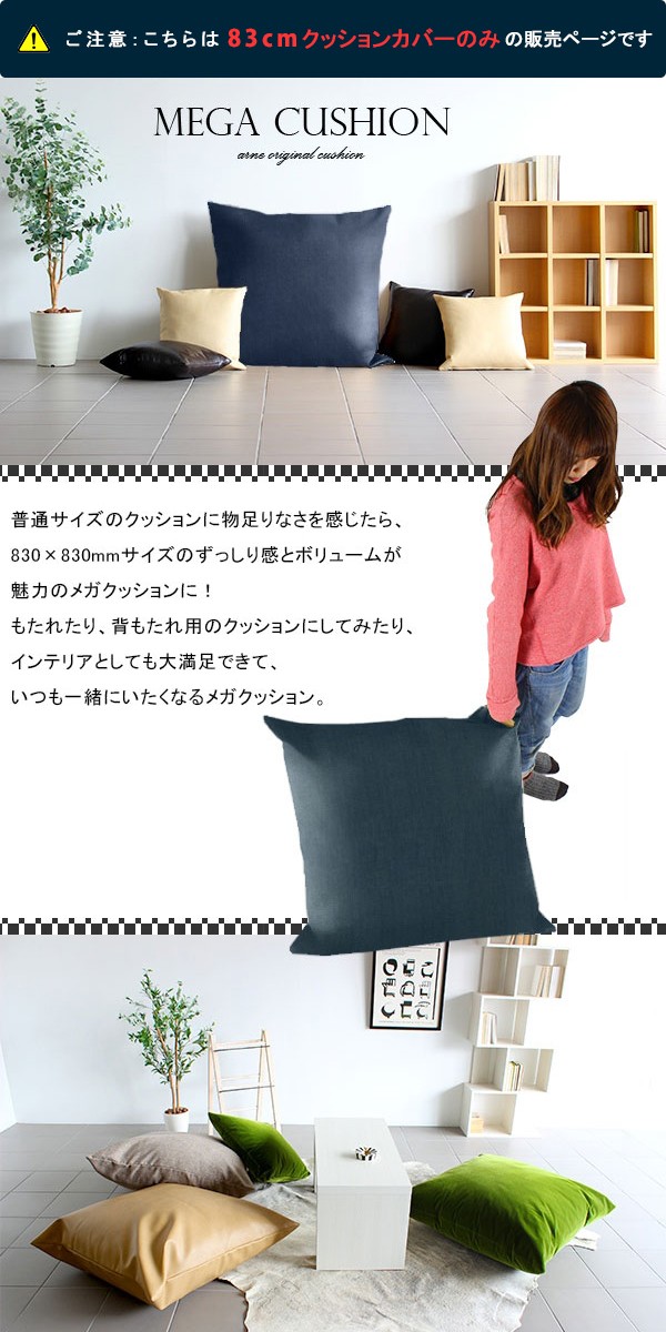 00a40915_sp1.jpg