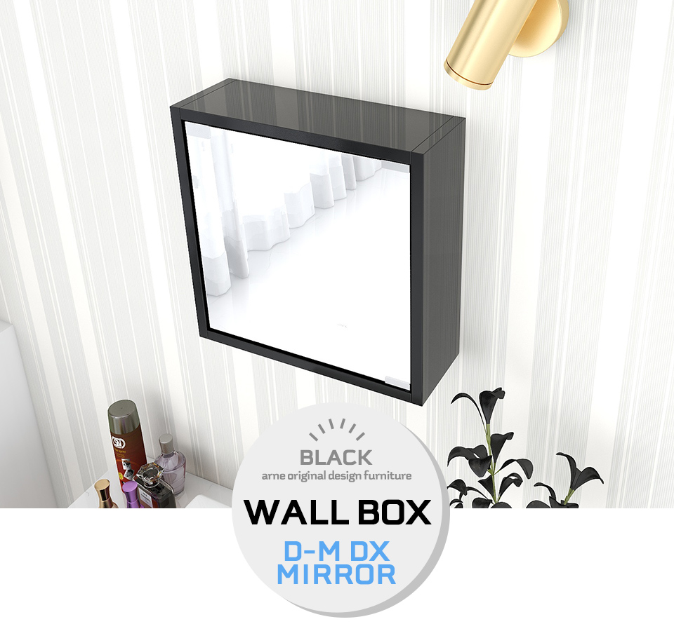 ウォールラック 壁掛け 収納 棚 扉付き 鏡 壁掛けミラー 石膏ボード