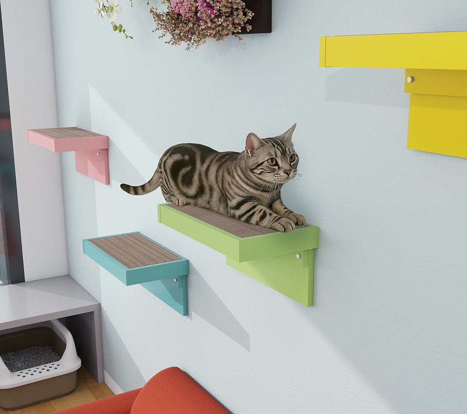 キャットウォーク 賃貸 キャットステップ 石膏ボード 猫 ステップ 爪