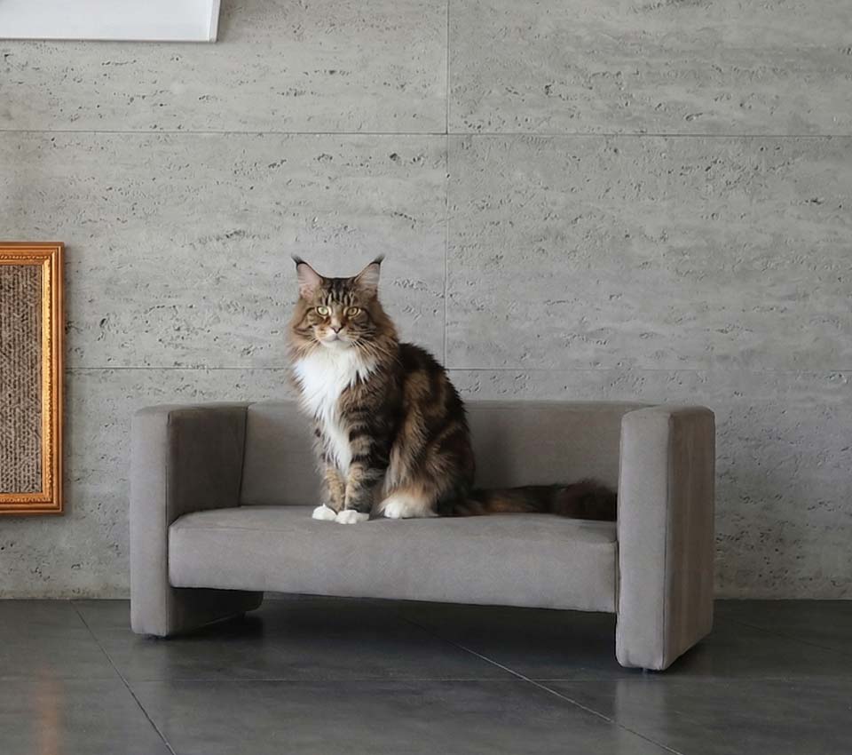 ソファ キッズソファ 2人 ソファー 2人用ソファー 猫 かわいい 小さい