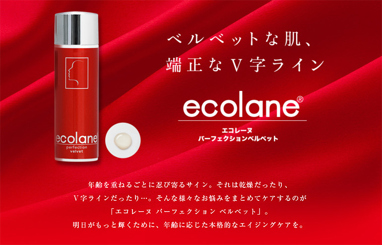 エコレーヌ パーフェクション ベルベット 45ml ／ 美容液 増量タイプ