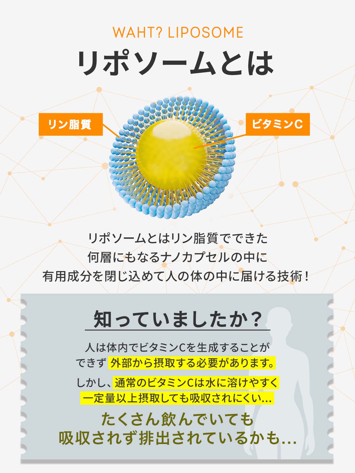 リポソームとは