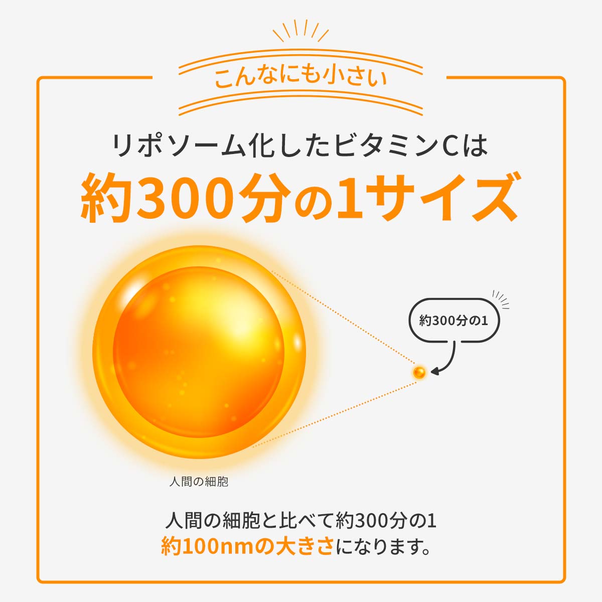 約300分の1