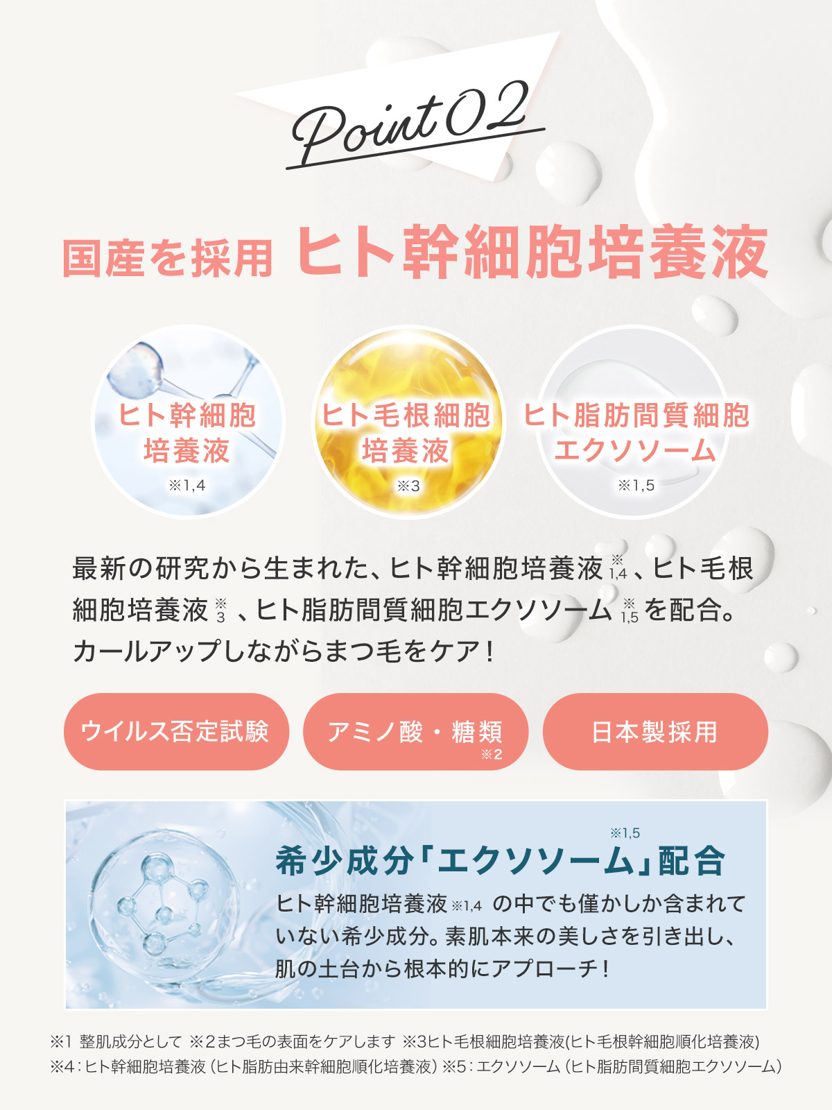 POINT2