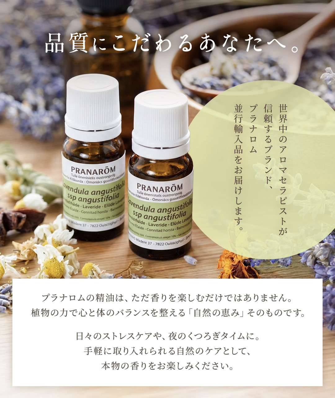 【satomiさま】PRANAROM ミルラ 5ml プラナロム 精油 プラナロム（PRANAROM） ミルラ 5ml 並行輸入品 精油