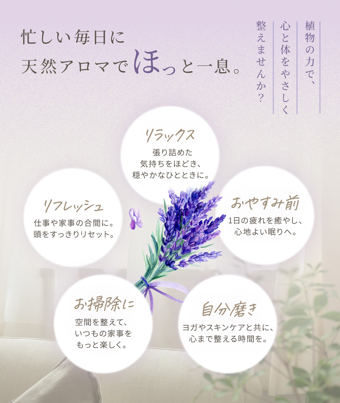 プラナロム