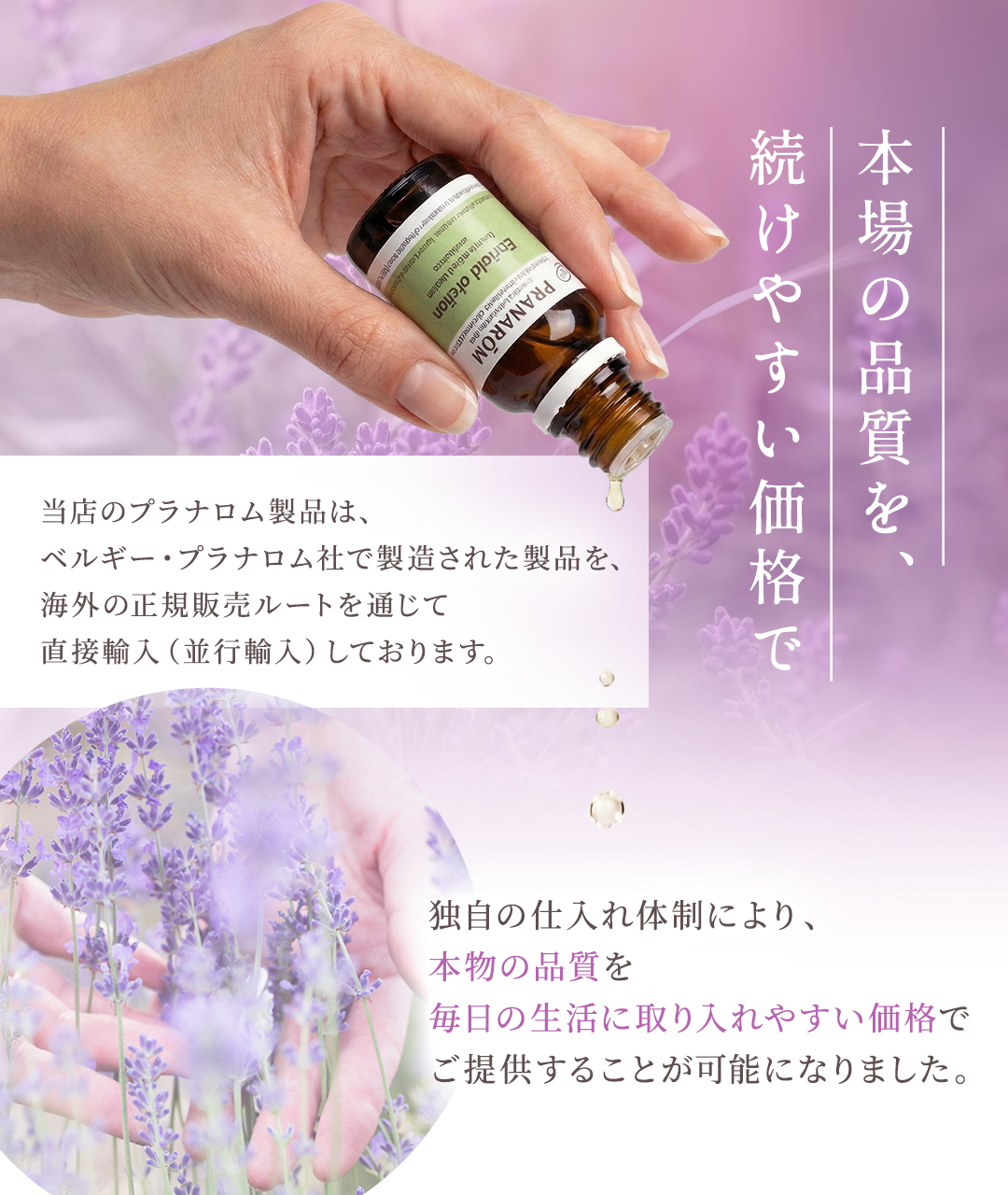 【satomiさま】PRANAROM ミルラ 5ml プラナロム 精油 プラナロム（PRANAROM） ミルラ 5ml 並行輸入品 精油