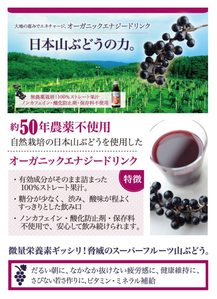 エナジー ドリンク 山のきぶどう100ml×10本 : ハーブティー・クレイ
