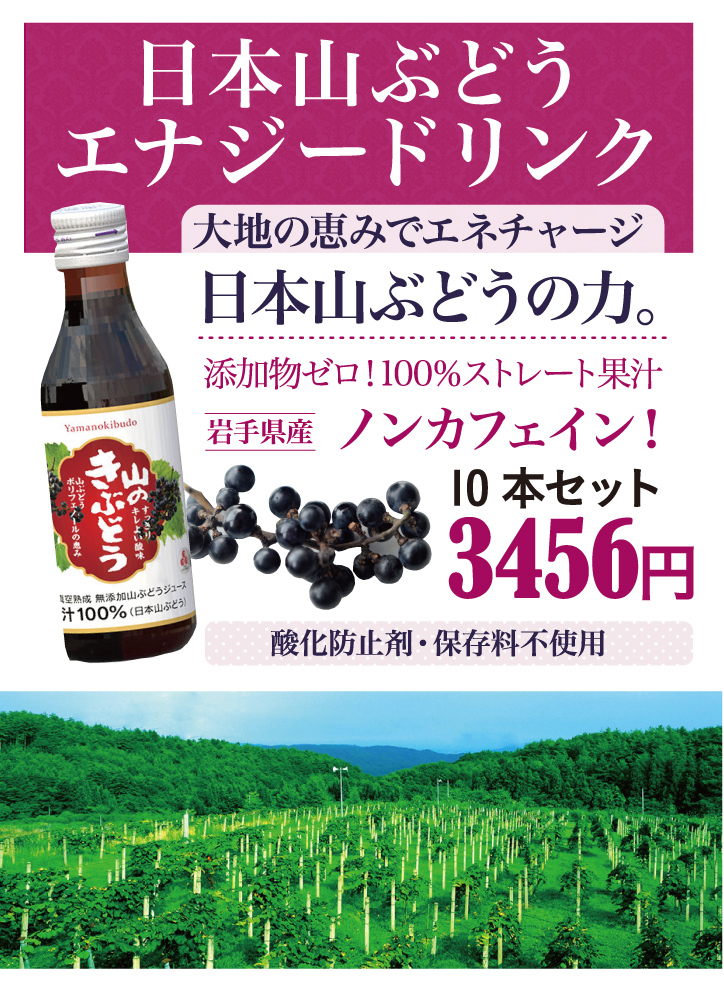 エナジー ドリンク 山のきぶどう100ml×10本 : ハーブティー・クレイ