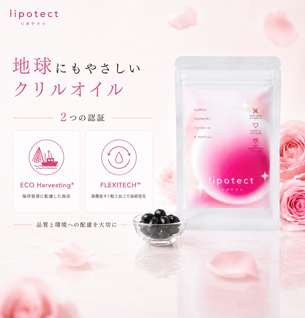 Mo3 リポバランスオイル 関連商品 リポテクト 60粒 lipotect 地曳直子