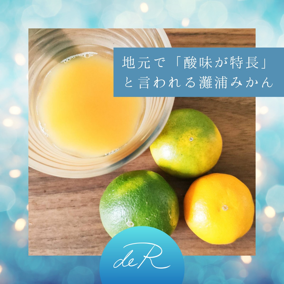 お中元 お歳暮 ギフト すっきりした味わいの灘浦みかん果汁100
