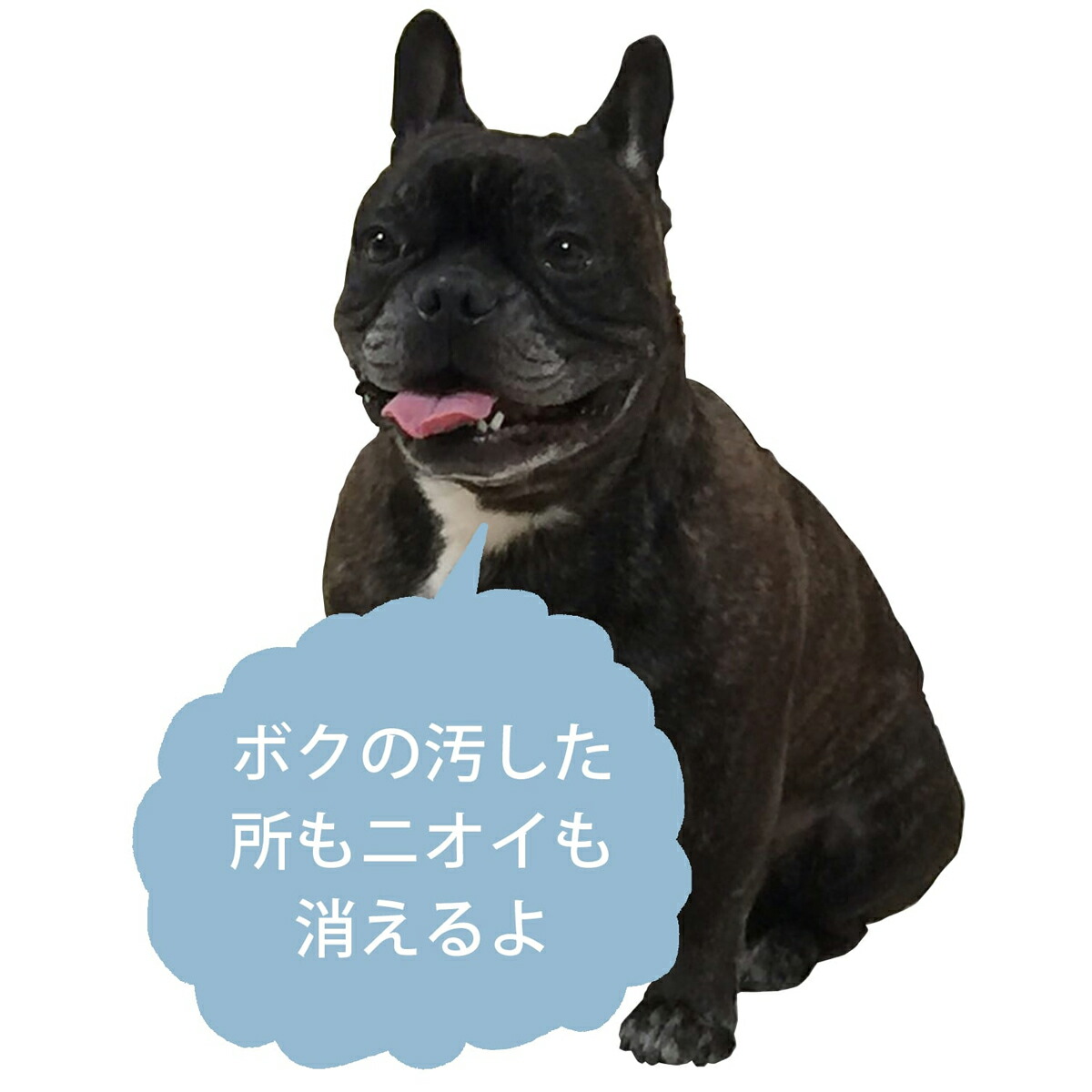 アロマージュプリュス
