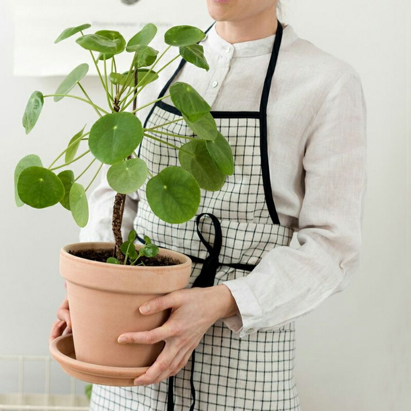 fog linen work 無料ラッピング ギフト リネン パイピング