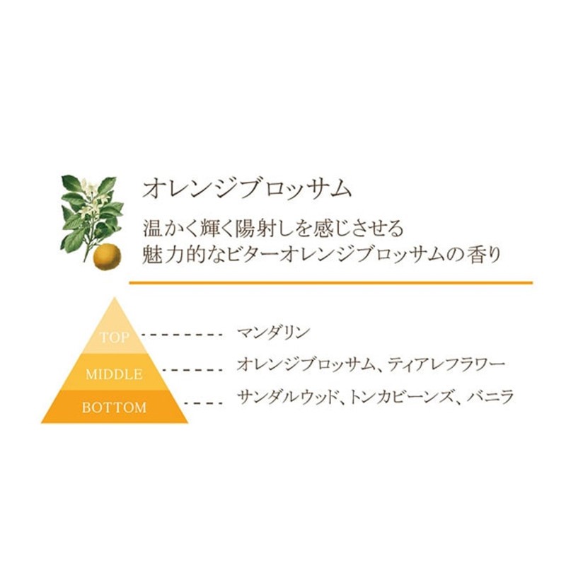 アロマージュプリュス