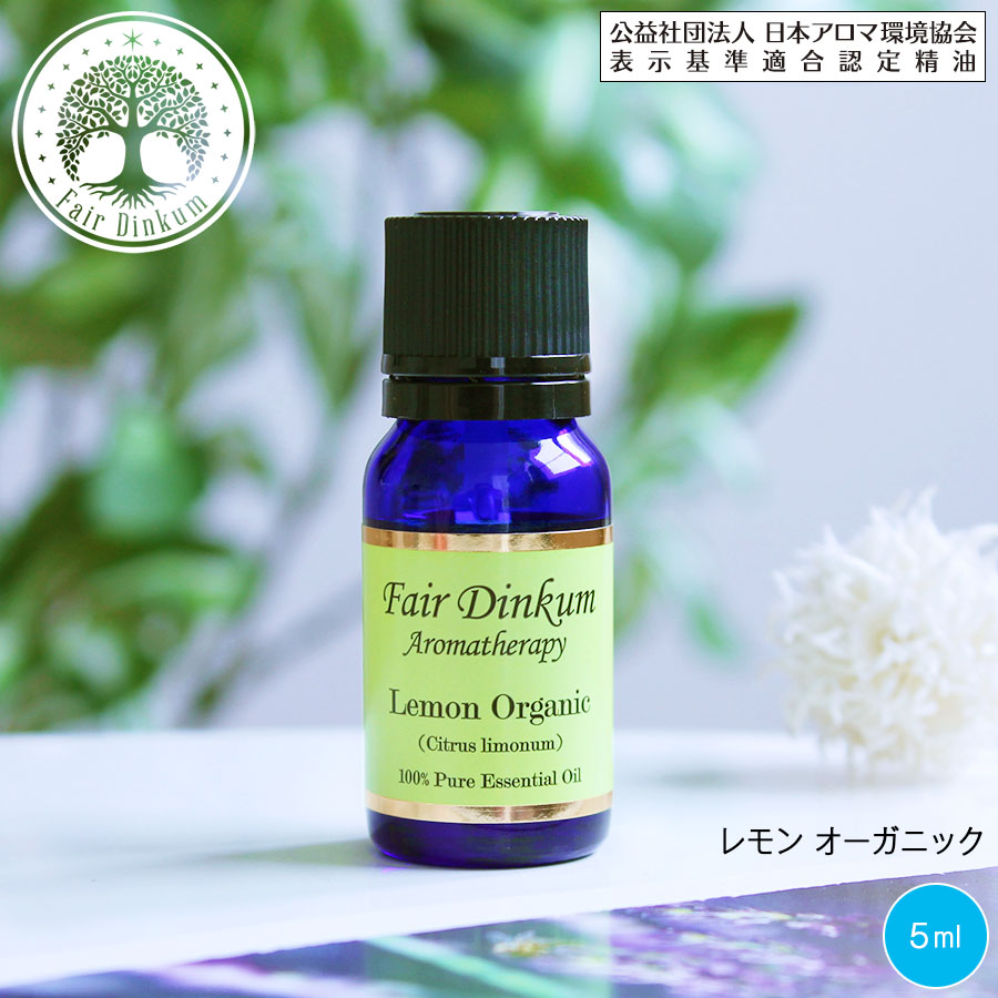  SH アロマ スターター セット エッセンシャルオイル 10ｍｌ 2本 アロマ ストーン セット アンドエスエイチ [ 夜 おしゃれ 無添加 天然 香り 手作り アロマセット 精油 アロマオイル ]tg_smc