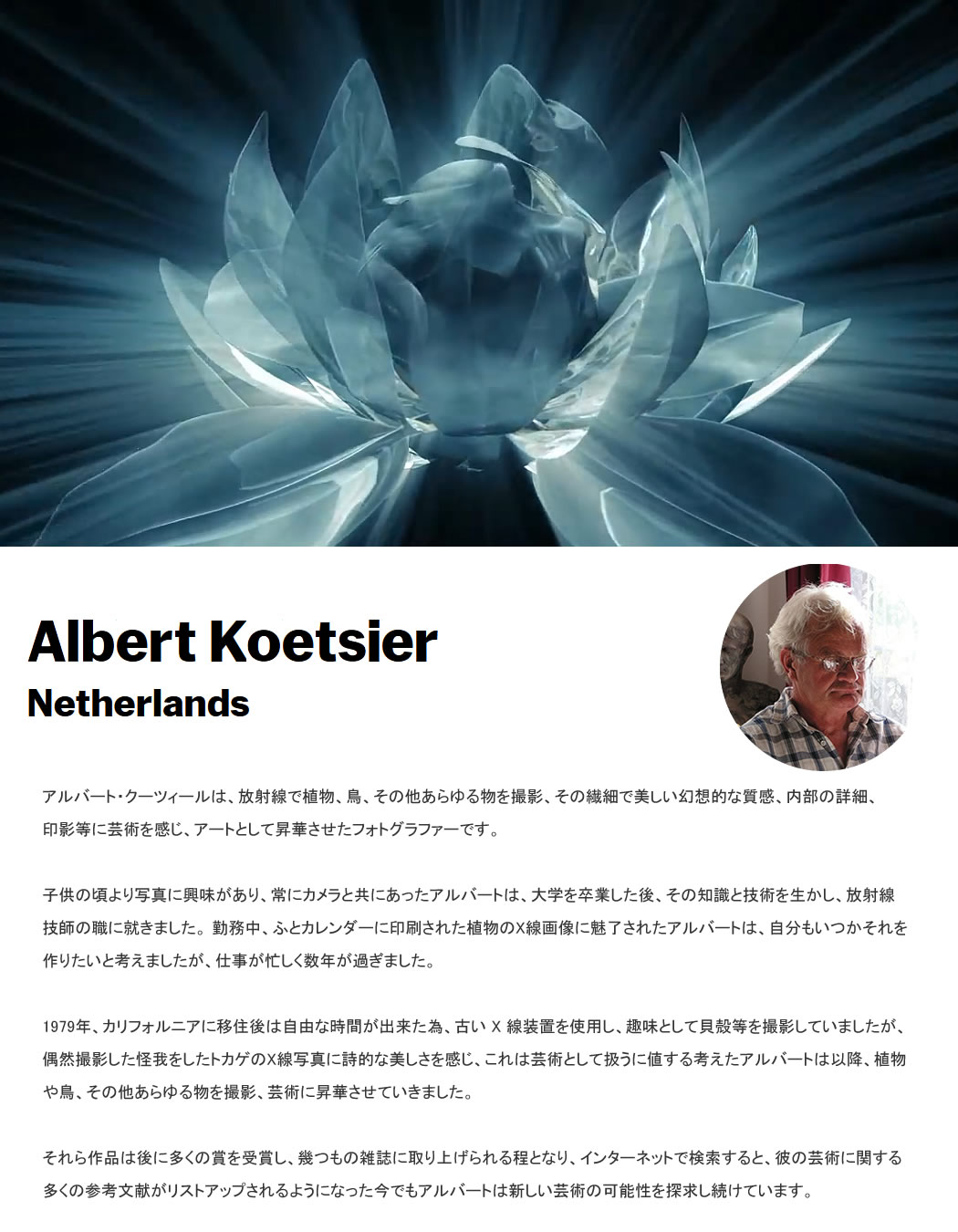 レントゲンアート 花 x-ray art アートパネル アートポスター アート