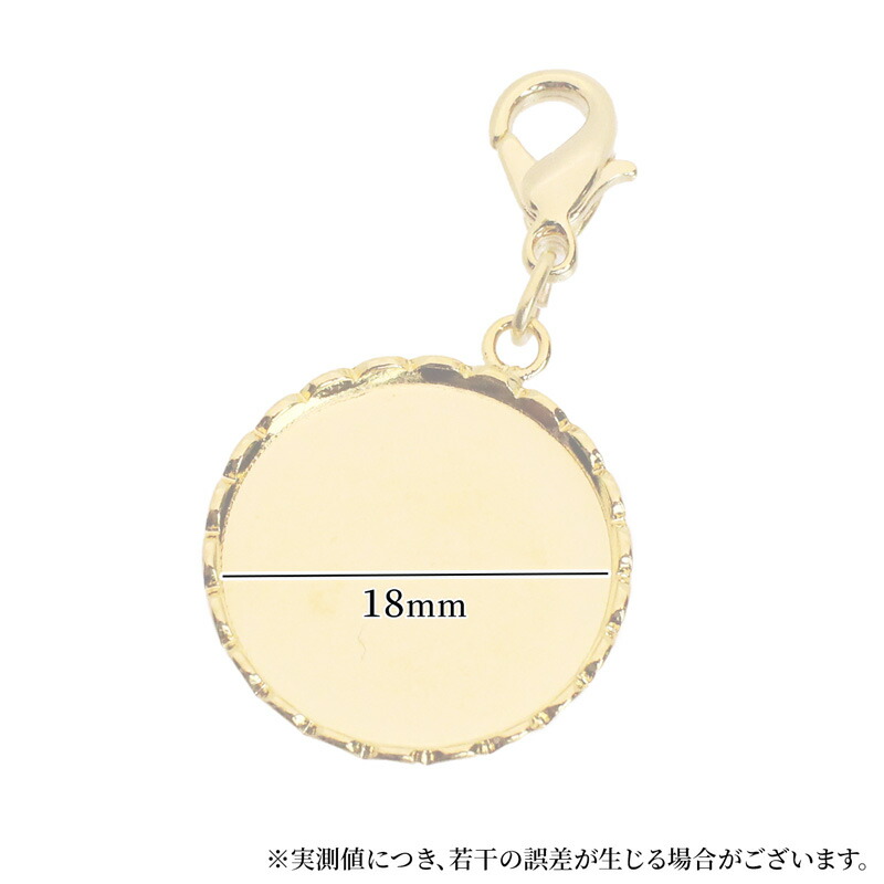 チャーム キーホルダー 円形 丸 ナスカン 1...の詳細画像4