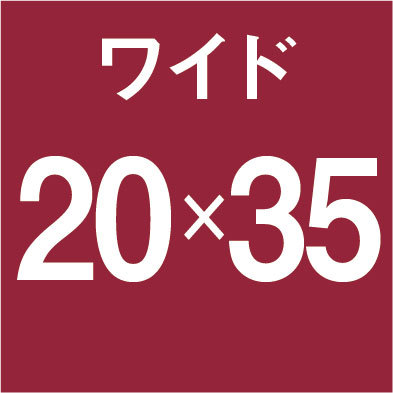 額縁 ワイド:BH-15F 長方形 フレーム 45×90(450×900mm) アルミ製