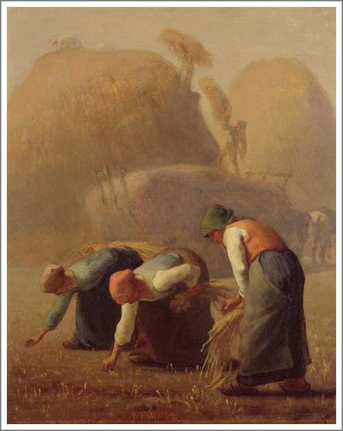 millet20.jpg