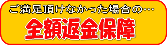 53%OFF!】 複製画 送料無料 絵画 名画 油絵 油彩画 オーダーメイド