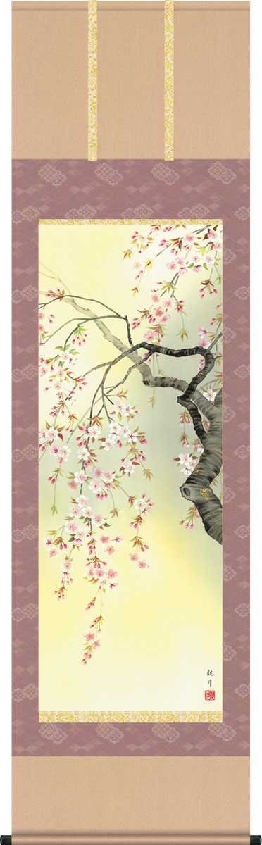 掛け軸 掛軸 桜 森山観月・桜花爛漫 尺五 花鳥画 春 桐箱 風鎮付き