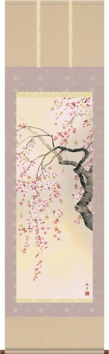 掛け軸 掛軸 桜 森山観月・桜花爛漫 尺五 花鳥画 春 桐箱 風鎮付き