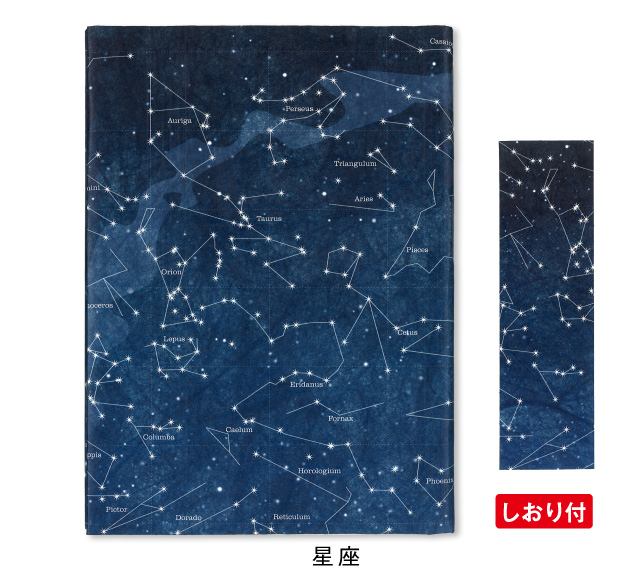 ファイバー フリーサイズ ブックカバー星座 [m]タイベック 文庫 B6 四