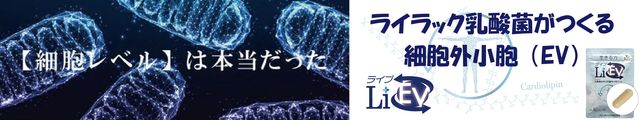 細胞外小胞（ＥＶ）