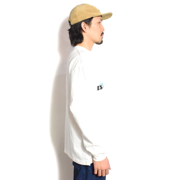 The Endless Summer（エンドレスサマー） Tシャツ The Endless Summer