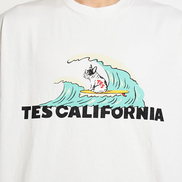 The Endless Summer（エンドレスサマー） Tシャツ The Endless Summer