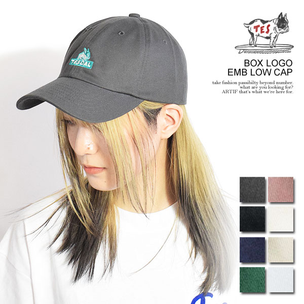 The Endless Summer エンドレスサマー キャップ TES BOX LOGO