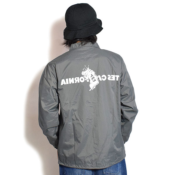 The Endless Summer（エンドレスサマー） ジャケット The Endless