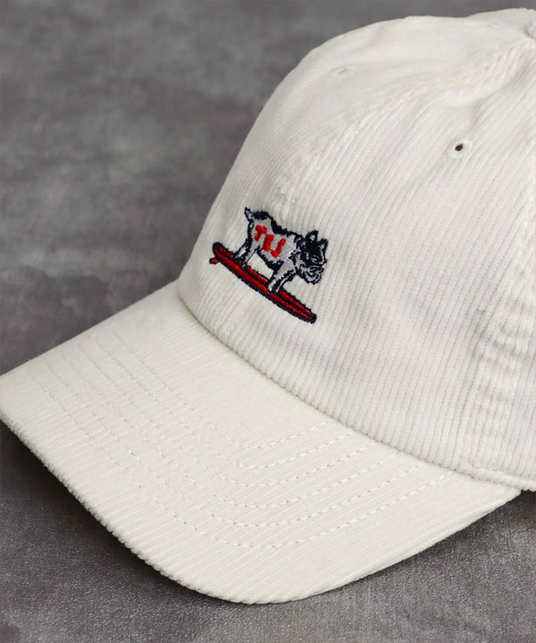 The Endless Summer（エンドレスサマー） キャップ The Endless Summer