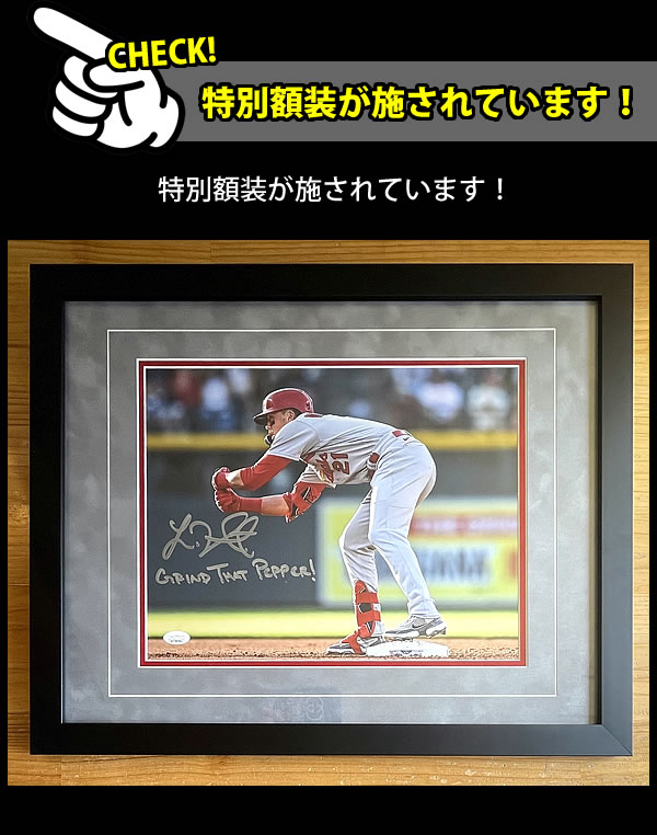 Lars Nootbaar World Baseball Classic Autographed Baseball w/ Grind That  Pepper - JSA COA