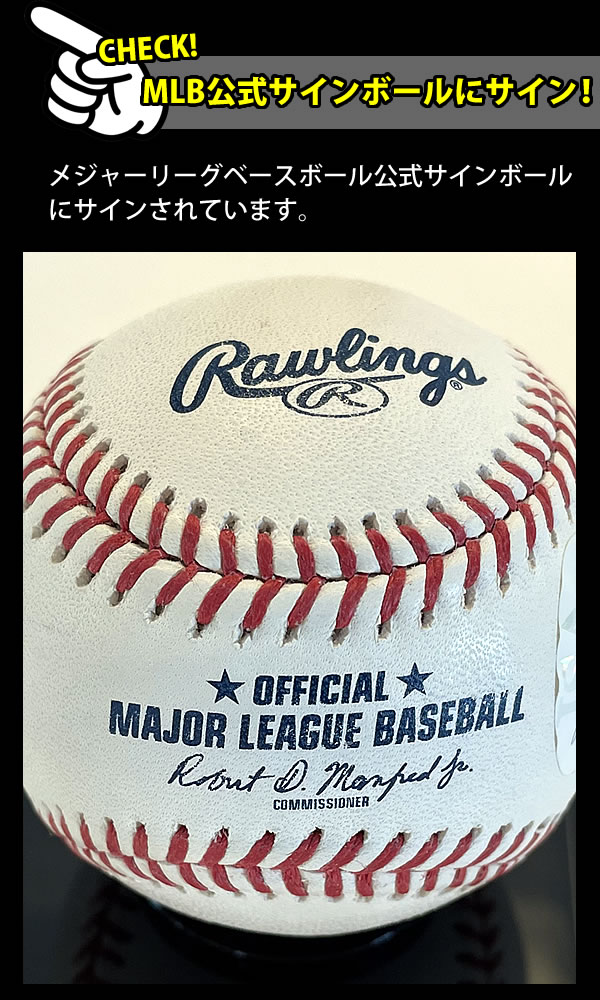 ☆決算特価商品決算特価商品☆ 鈴木誠也 直筆サイン入り MLB公式サイン