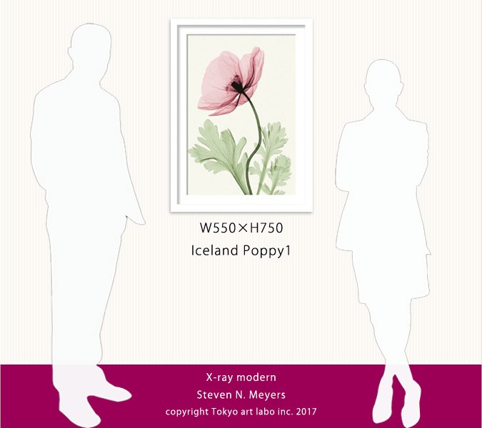 絵画 額付き 北欧 インテリア 壁掛け POPPY ポピー ヒナゲシ