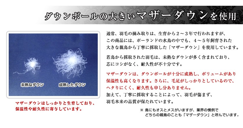 羽毛布団 掛け布団 羽毛ふとん シングル 送料無料 掛け布団 プレミアムゴールド高級羽毛布団 光触媒 ボリュームアップ二層式キルト シングルロング Premium 2 S 布団の安眠工場 掛け布団