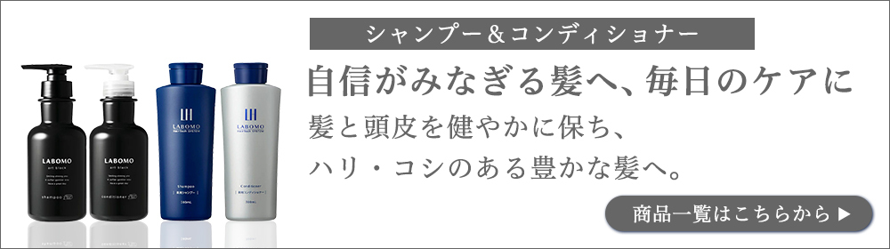 ラボモ アートブラック シャンプー コンディショナー 2点セット 薬用シャンプー フケ かゆみ スカルプケア メンズ 医薬部外品 公式アートネイチャー  LABOMO 日本最級