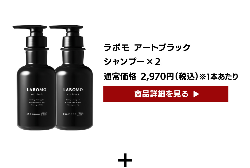 LABOMO 【福袋】アートブラック シャンプー×2本 コンディショナー×2本