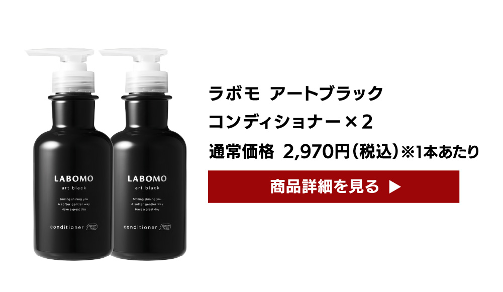 LABOMO 【福袋】アートブラック シャンプー×2本 コンディショナー×2本