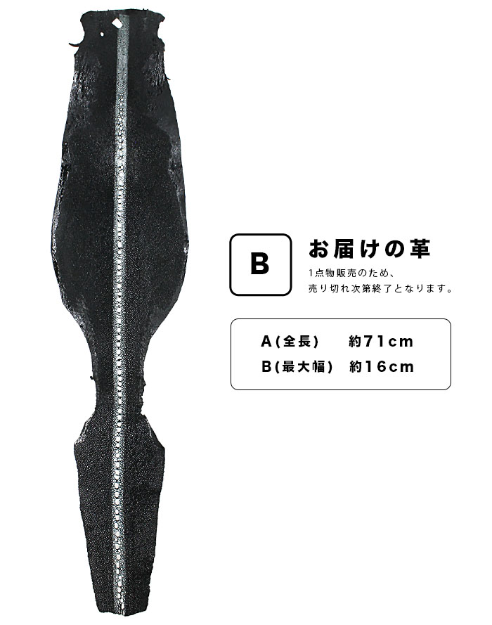 革販売 連石 スティングレイ 6インチ ブラック ガルーシャ エイ 革 連