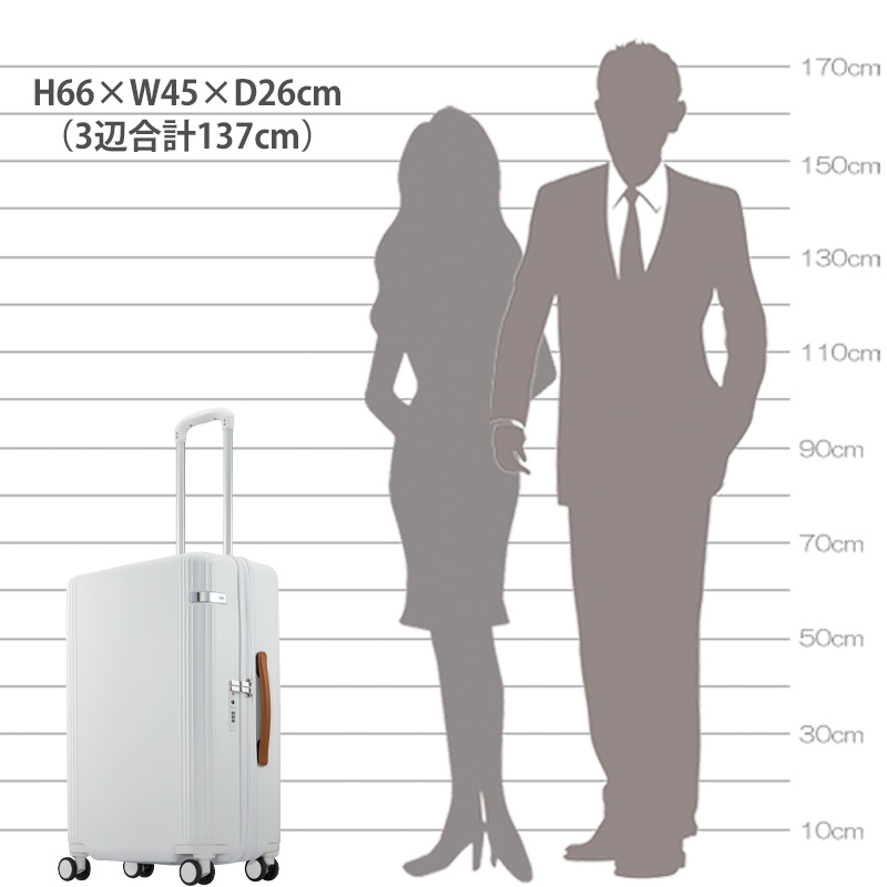 ace. エース スーツケース ファーニットZ 56L 05043 ace.TOKYO LABEL