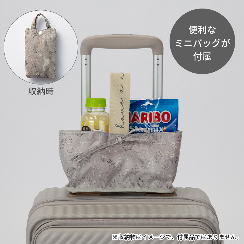 HaNT エース ハント スーツケース ココント 05513 機内持込みサイズ