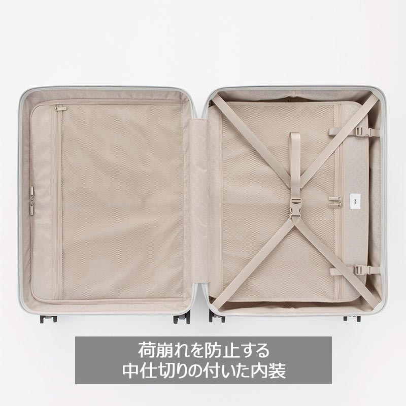 【値下げ】ace パリセイド3-Z 100L ace. エース パリセイド3-Z Palisades3-Z No.06916 100L : 地球の歩き