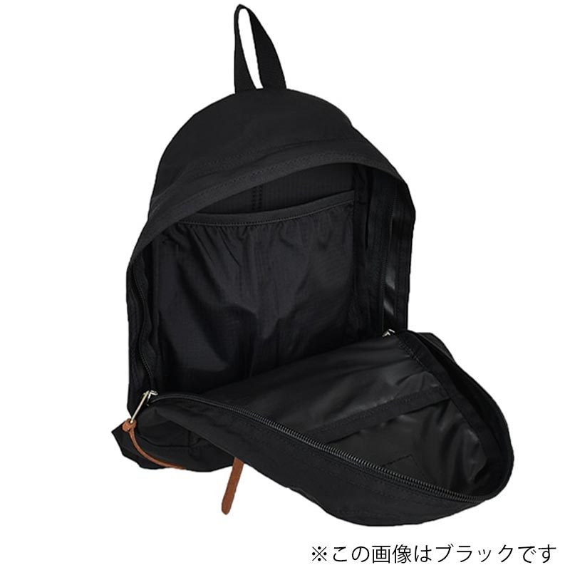 GREGORY グレゴリー イージーデイXS 5L EASY DAY XS 国内正規品