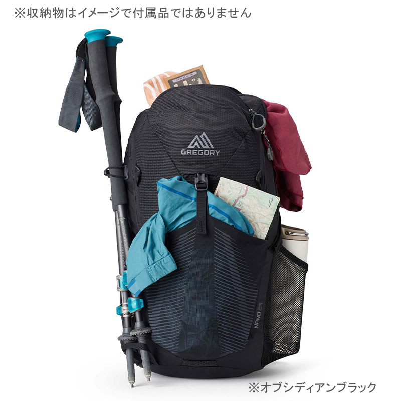 GREGORY（グレゴリー） ナノ24 リュック バックパック 24L GREGORY 