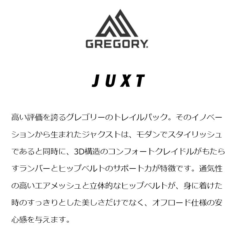 グレゴリー ジャクスト28 JUXT 28 GREGORY 国内正規品 : 24810087